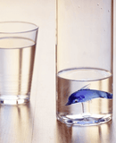 Bouteille en verre dauphin bleu de Balvi, design ludique et écologique pour vos boissons