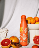 Bouteille isotherme Qwetch Originals Coral 500 ml, conserve boissons froides 24h