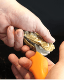 Couteau à huîtres Kleze pour une ouverture facile et sécurisée des huîtres.