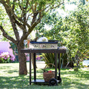 Chariot plancha eno métal - Maison Habiague