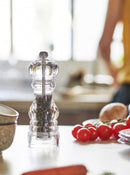 Moulin à poivre Nancy acrylique - Maison Habiague