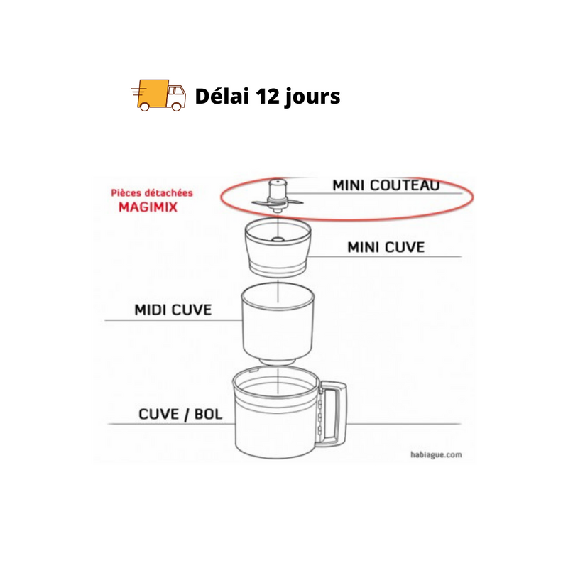Mini couteau métal 6200 XL Magimix - Maison Habiague