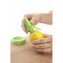 Citrus Spray spray citron x2 - Maison Habiague
