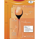 Cuillère à l'unité Georgette inox brillant droitier - Maison Habiague