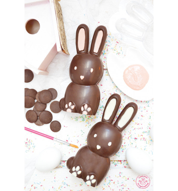 Moule 3D choco lapin